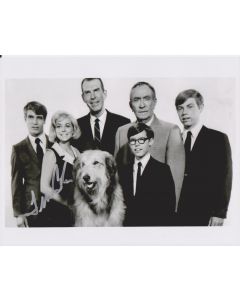 Tina Cole My Three Sons #4