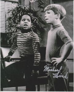 Michael Link Julia 2