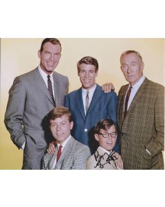 Barry Livingston My Three Sons 4