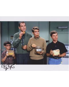 Barry Livingston My Three Sons 8