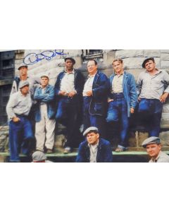 David Proval THE SHAWSHANK REDEMPTION signed 8x10 # G06