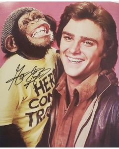 Greg Evigan BJ AND THE BEAR signed 8X10 Photo # G03