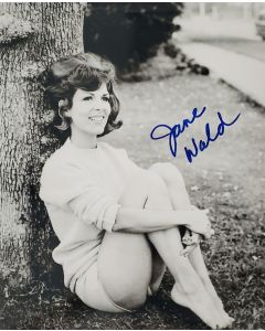 Jane Wald DEAR BRIGITTE 1965, BATMAN 1966 Signed 8X10 Photo #2