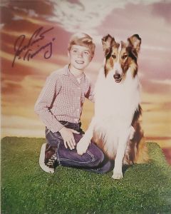 Jon Provost Lassie Original Autographed 8X10 Photo #20