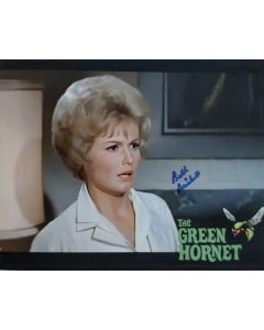 Beth Brickell THE GREEN HORNET 8X10 #201
