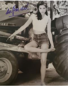 Lee Purcell Mr. Majestyk 1974, Valley Girl 1983 Signed 8x10 Photo #10