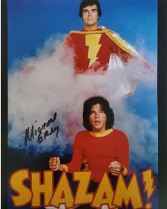 Michael Gray SHAZAM! TV SERIES Signed 8X10 Photo #4