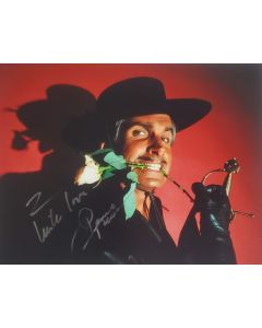 George Hamilton ZORRO signed 8x10 # G06