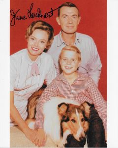 June Lockhart RIP Lassie 8X10 #2
