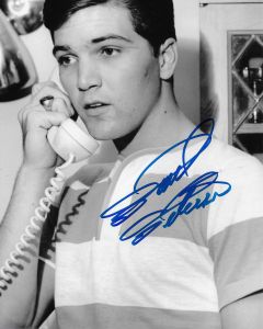 Paul Petersen Donna Reed Show 8X10 #9