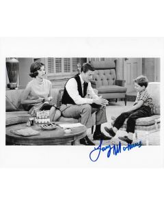 Larry Mathews Dick Van Dyke Show 8