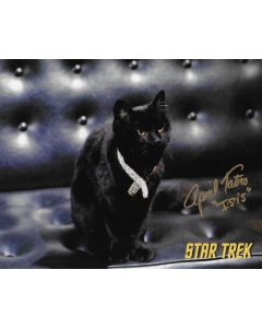 April Tatro Star Trek TOS 8X10 #2