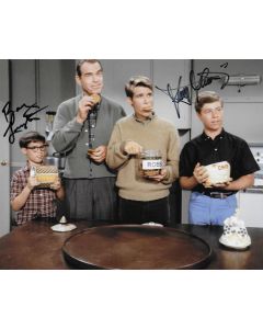 Barry/Stanley Livingston My Three Sons 8X10 #6