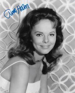 Anne Helm 8X10 #3