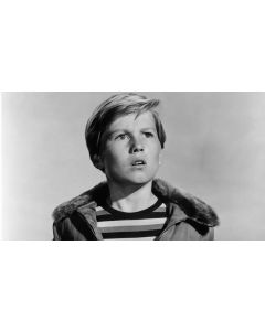 Billy Gray-THE DAY THE EARTH STOOD STILL-BOBBY