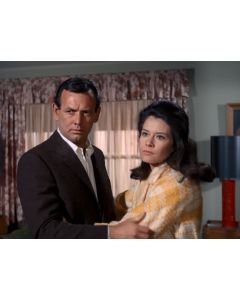 Diane Baker THE FUGITIVE signed 8x10 # G02