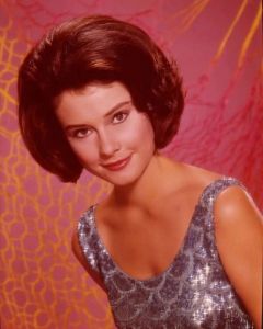 Diane Baker PINK BACKGROUND  signed 8x10 # G03