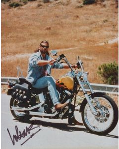 Lorenzo Lamas RENEGADE signed 8x10 # G05