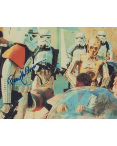 Terry McGovern STAR WARS EPISODE IV-A NEW HOPE signed 8x10 # G02