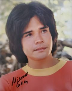Michael Gray SHAZAM! TV SERIES Signed 8X10 Photo #5