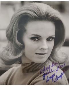 Angel Tompkins Original Autographed 8x10 Photo #24
