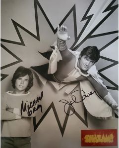 John Davey & Michael Gray SHAZAM! TV SERIES Signed 8X10 Photo #2