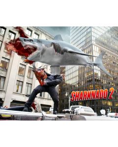 Ian Ziering-CUTTING SHARK IN 2