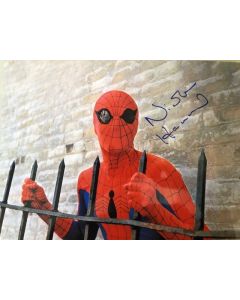 Nicholas Hammond Spiderman 11X14