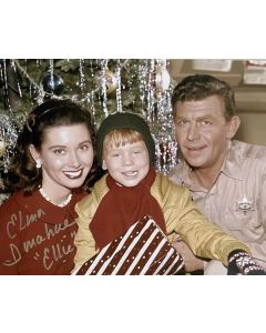 Elinor Donahue Andy Griffith Show signed 8X10 photo #33