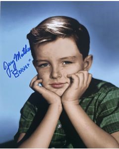 Jerry Mathers Leave it to Beaver Original Autographed 8X10 Photo #33