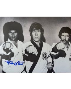 Mike Stone AMERICAN NINJA, MARTIAL ARTIST 8x10 Signed Photo #2
