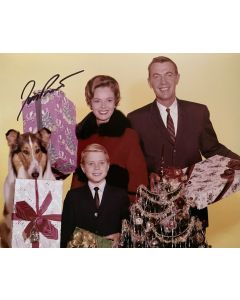Jon Provost Lassie Original Autographed 8X10 photo #27