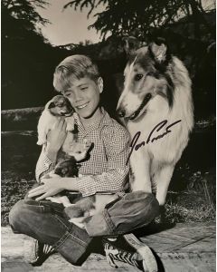 Jon Provost Lassie Original Autographed 8X10 photo #29