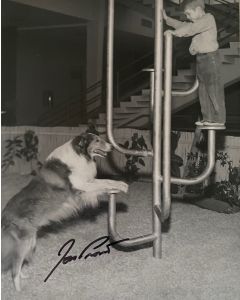 Jon Provost Lassie Original Autographed 8X10 photo #30