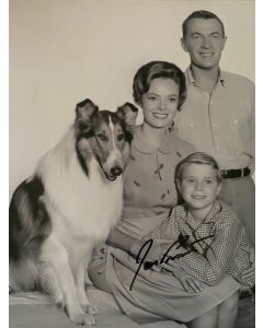 Jon Provost Lassie Original Autographed 8X10 photo #34