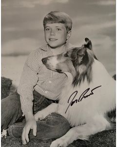 Jon Provost Lassie Original Autographed 8X10 photo #31
