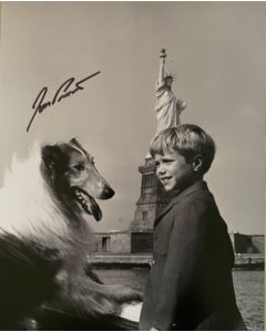 Jon Provost Lassie Original Autographed 8X10 photo #32