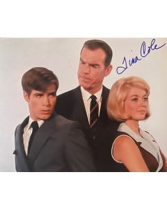 Tina Cole MY THREE SONS Original Autographed 8X10 photo #29