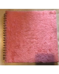 MTV 1994 Video Music Awards book