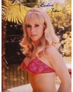 Barbara Eden I Dream of Jeannie Original Autographed 8x10 Photo #125