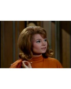 Kathy Garver-FAMILY AFFAIR