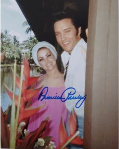  Priscilla Presley 8X10 #236