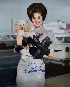  Priscilla Presley 8X10 #246