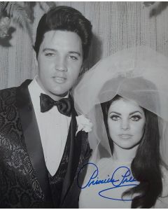  Priscilla Presley 8X10 #245