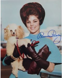  Priscilla Presley 8X10 #244
