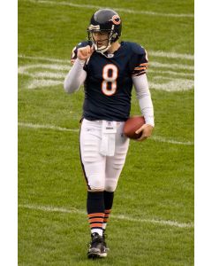 Rex Grossman-any item