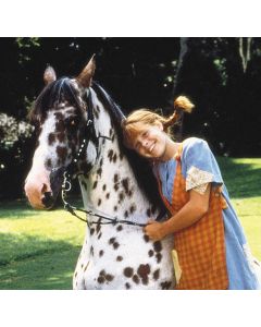 Tami Erin-horse