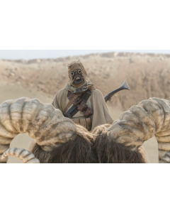 Troy Kotsur-The Mandalorian solo