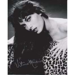 Vitina Marcus